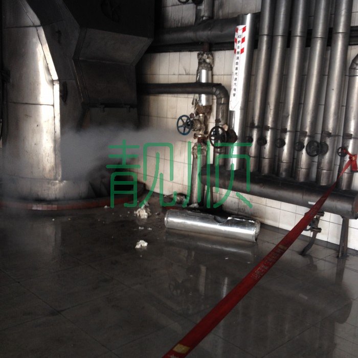 側(cè)輔汽手動(dòng)總門(mén)門(mén)前法蘭