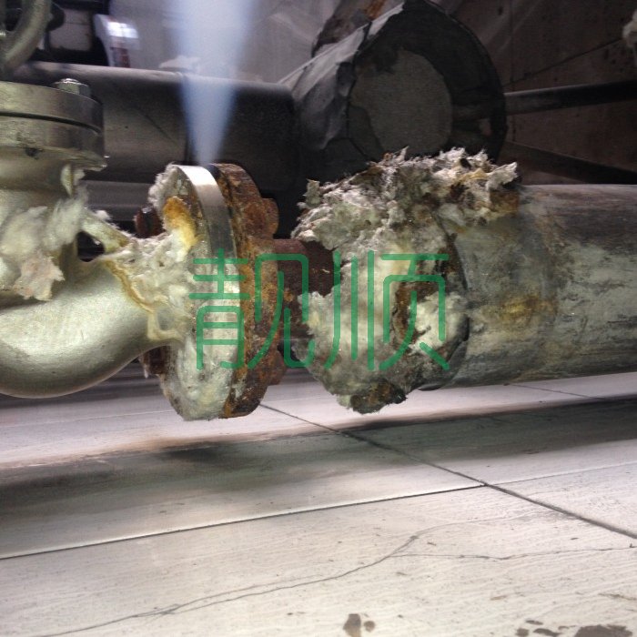 側(cè)輔汽手動(dòng)總門(mén)門(mén)前法蘭